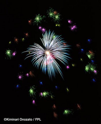 Floral Shell of Shells and Stardust